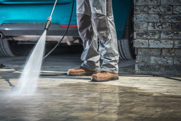 Best Pre-Holiday Cleaning  in Moorefield, WV